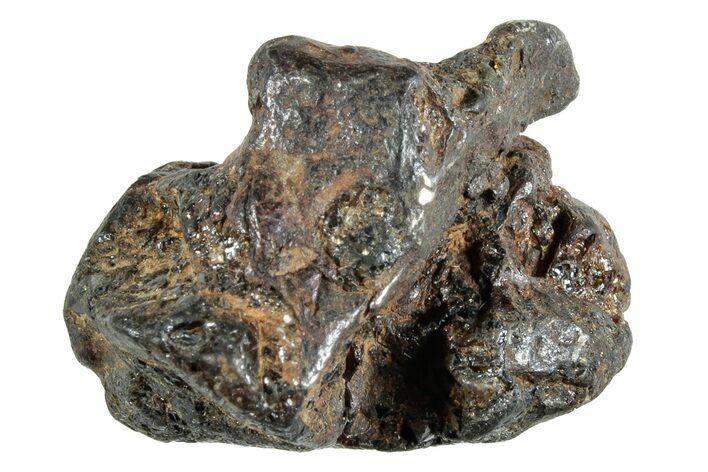 Sericho Pallasite Meteorite ( g) Metal Skeleton #267046